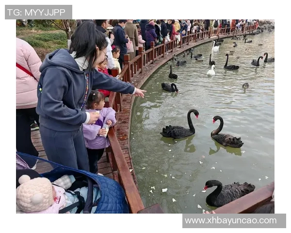 探索真人娱乐场的魅力与乐趣体验，感受真实游戏带来的刺激与享受